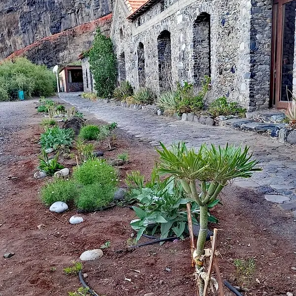 Yoga und die Sinne auf La Gomera im September 2025-Entspannung und Auftanken für das (Berufs-) Leben
