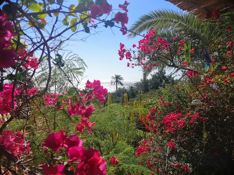 278625848_10166250209715707_8957804264898481409_n