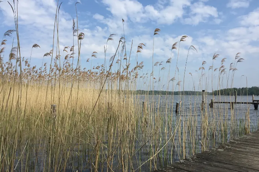 Buchingerfasten &  Achtsamkeit