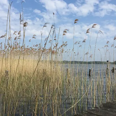 Buchingerfasten &  Achtsamkeit