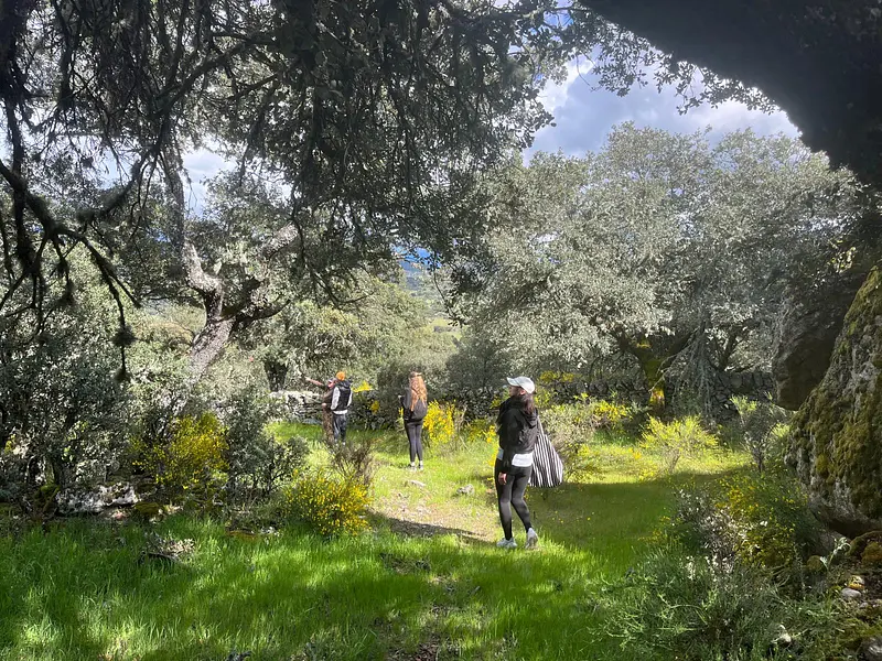 Entwickle deinen ganz persönlichen Führungsstil basierend auf deinen individuellen Stärken in Spanien Entwickle deinen ganz persönlichen Führungsstil basierend auf deinen individuellen Stärken in Spanien