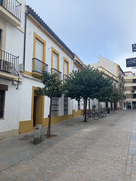 calle rodriguez sanchez IH