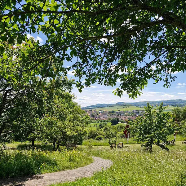 IMG_20240611_172611_865