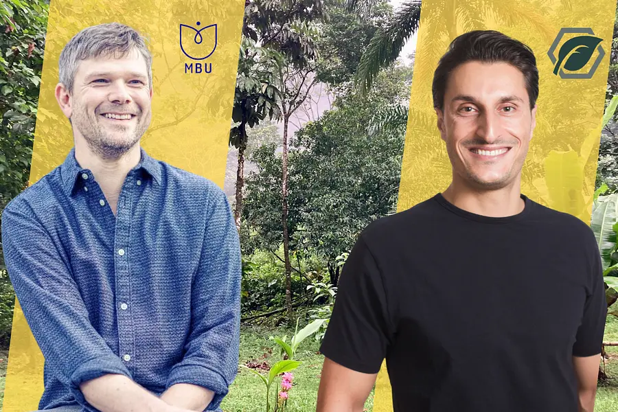 Bildungsurlaub im Regenwald: Eine Reise, die dein Leben verändert 