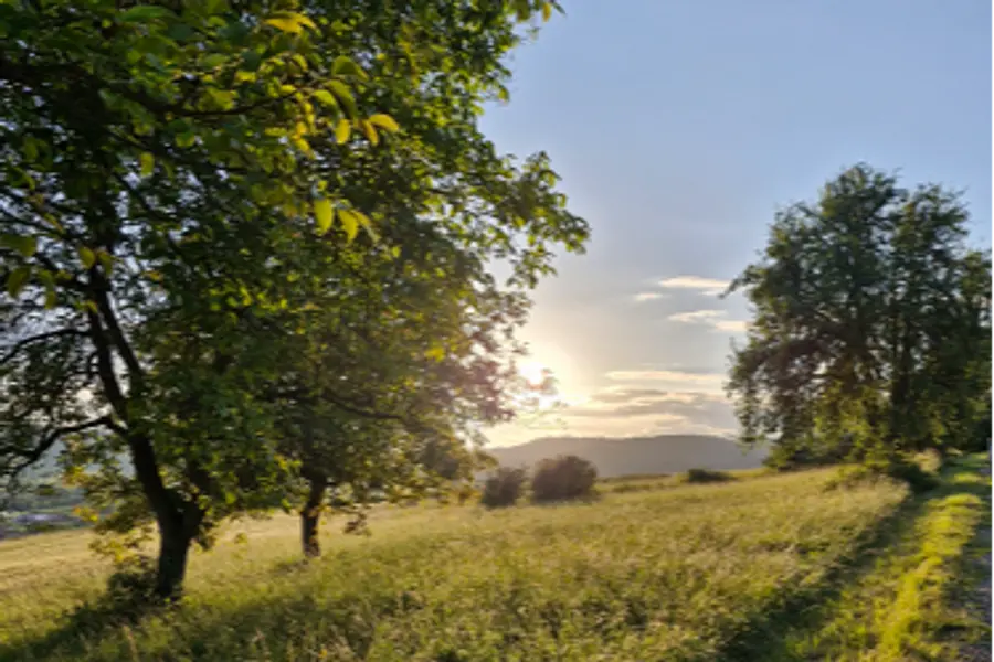 Yoga & Ayurveda mit Wellness in der Rhön