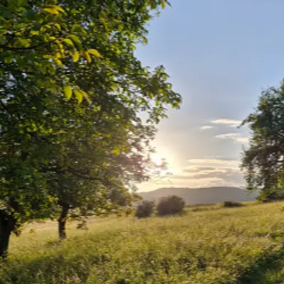 Yoga & Ayurveda mit Wellness in der Rhön