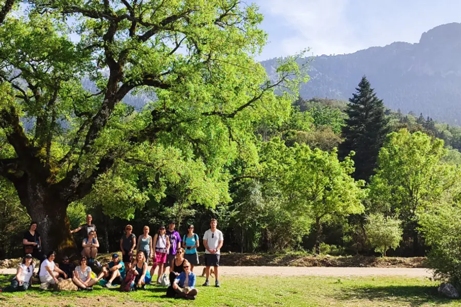 Spanisch-Superintensivkurs für alle Niveaus + Wandern im Naturpark Sierra de Grazalema in Andalusien 2 Wochen 2026