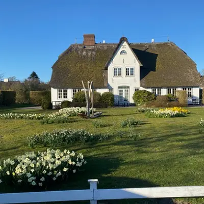 Work-Life-Design aus Sylt (Keitum)
