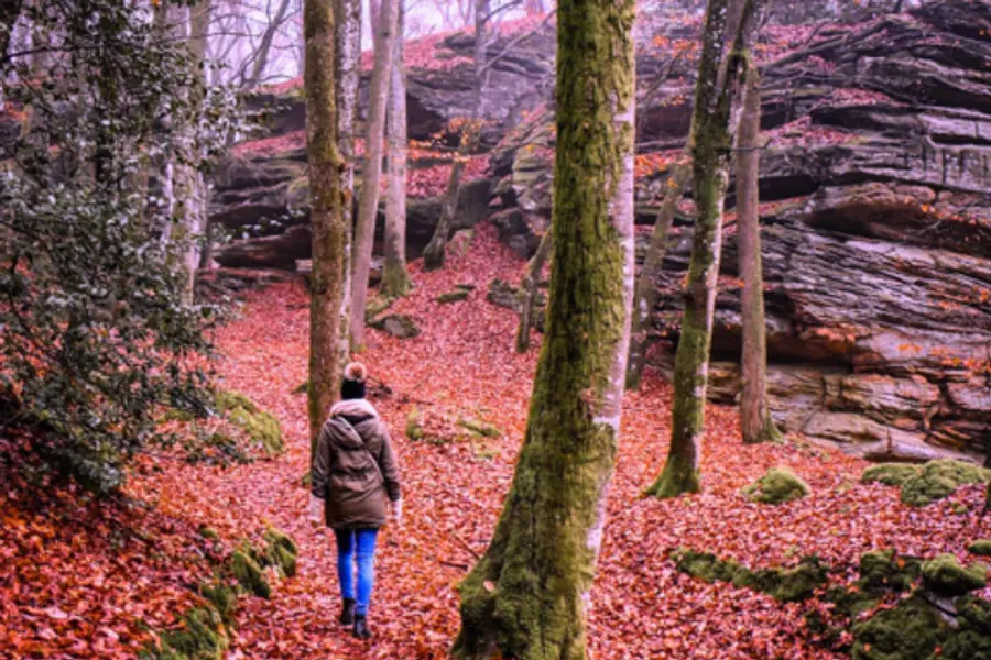 Stressprävention und Persönlichkeitsentwicklung in Deutschland