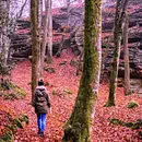 Stressprävention und Persönlichkeitsentwicklung in Deutschland