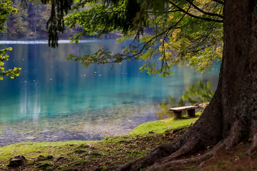 Natur-Resilienz-Training - Finde deinen Weg für mehr Widerstandskraft im beruflichen und privaten Alltag (Österreich, Südtirol, Dänemark)