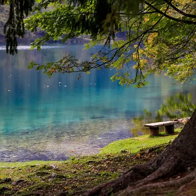 Natur-Resilienz-Training - Finde deinen Weg für mehr Widerstandskraft im beruflichen und privaten Alltag (Österreich, Südtirol, Dänemark)