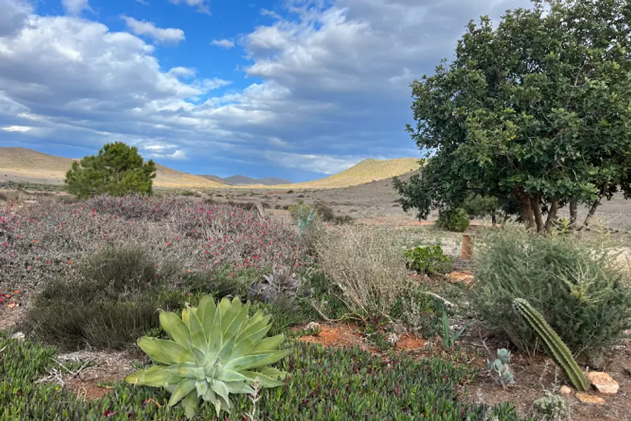Stärken stärken im sonnigen  Andalusien für mehr Resilienz und Gesundheit am Arbeitsplatz Stärken stärken im sonnigen  Andalusien für mehr Resilienz und Gesundheit am Arbeitsplatz