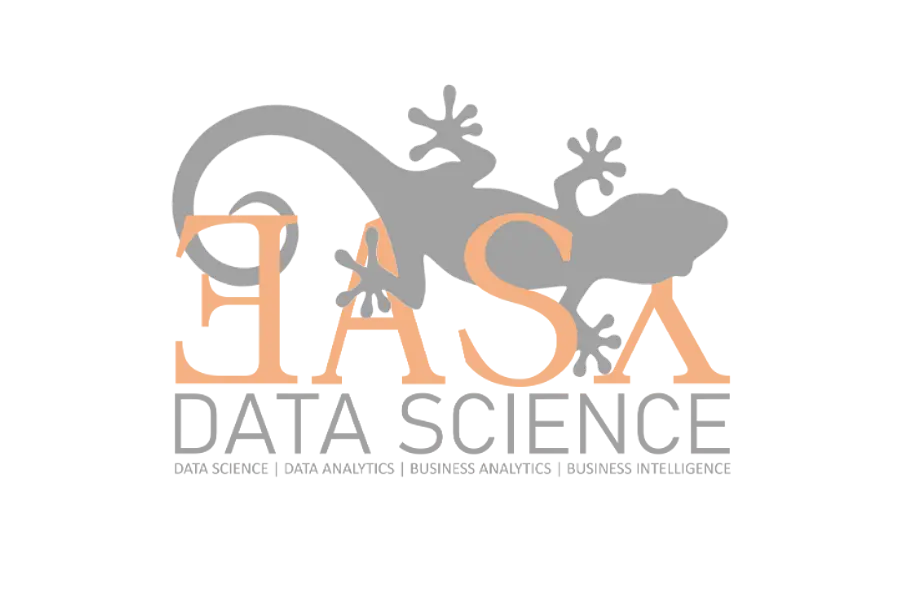 Data Science Boot Camp (Webinare in 2025)