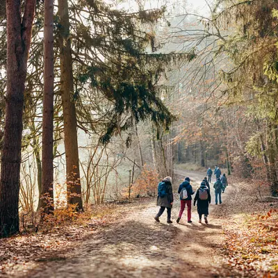 Fasten & Waldbaden mit Yoga