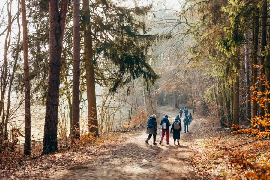 Fasten & Waldbaden mit Yoga