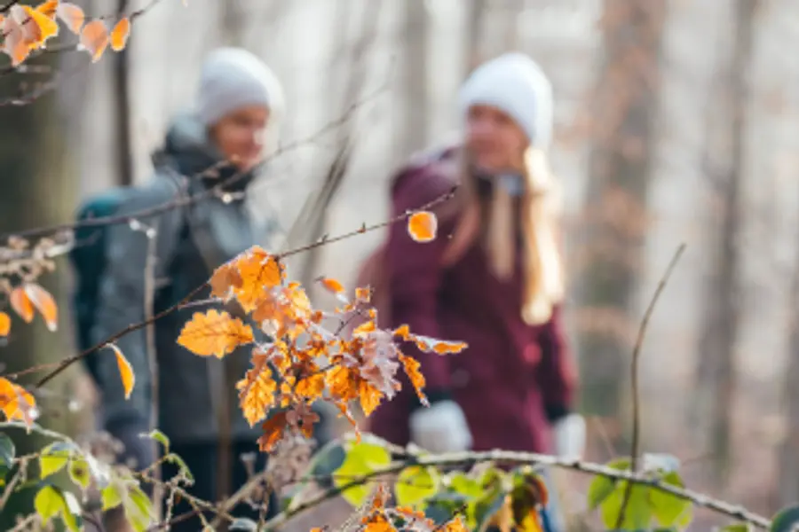 Hildegardfasten & Yoga