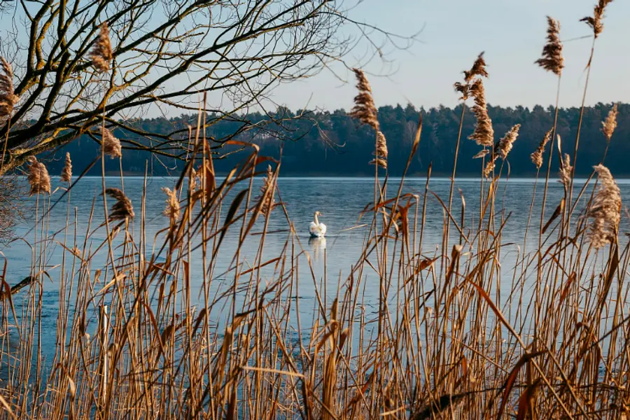 Achtsamkeitsbasierte Stressbewältigung - Einführung in MBSR Achtsamkeitsbasierte Stressbewältigung - Einführung in MBSR