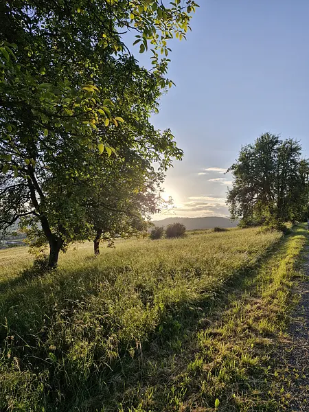 Yoga, Atem & Meditation im Wellness-Hotel Rhön