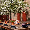 Basen-Intervallfasten & Feldenkrais