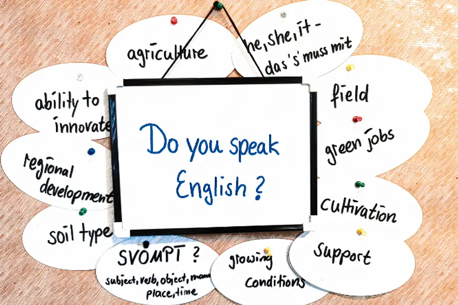 Der (etwas andere) Auffrischungskurs Englisch