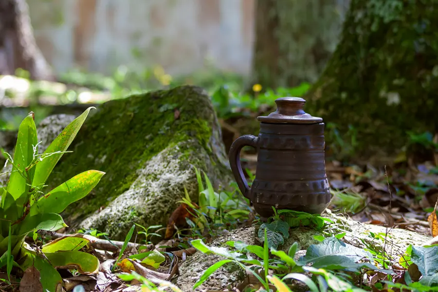 Waldzeit und Kreativität – Mit Achtsamkeit zur inneren Balance (Bildungsurlaub Waldbaden und Kreativtechniken)