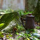 Waldzeit und Kreativität – Mit Achtsamkeit zur inneren Balance (Bildungsurlaub Waldbaden und Kreativtechniken)