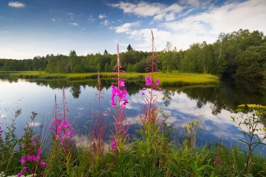 Wandern, Yoga & Achtsamkeit mit Wellness in der Rhön