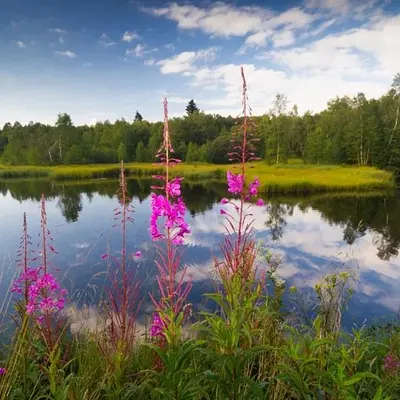 Wandern, Yoga & Achtsamkeit in der Rhön