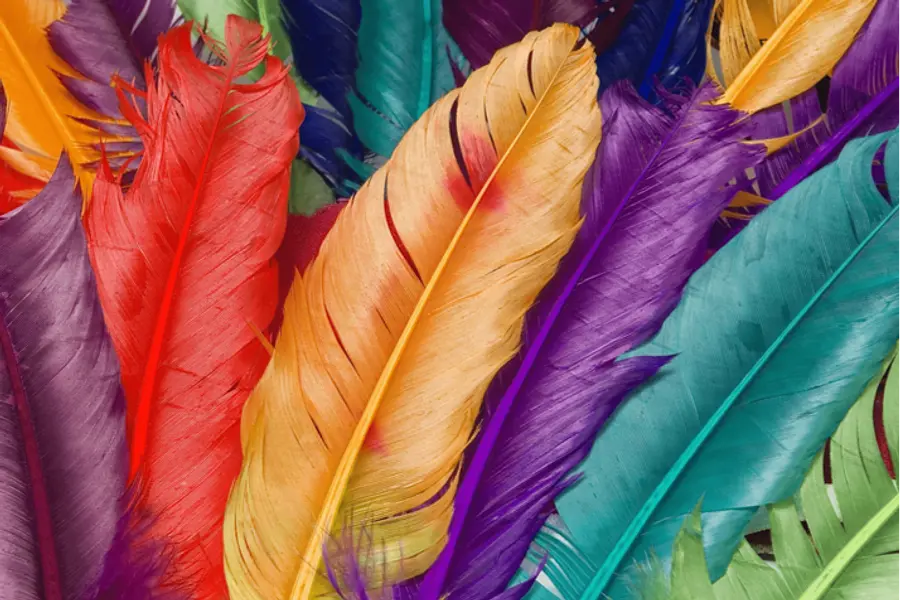 Resilient und vital in der Arbeitswelt: Fasten nach Buchinger, Yoga, Wanderung und Thermalentspannung