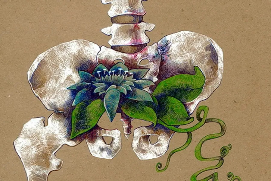 Yoga und Ayurveda im Januar 2026