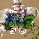 Yoga und Ayurveda im Januar 2026 Yoga und Ayurveda im Januar 2026
