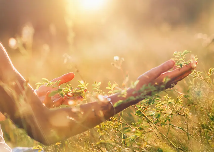 Kopie von format bildungsurlauber (14.8 x 10.5 cm) (5)