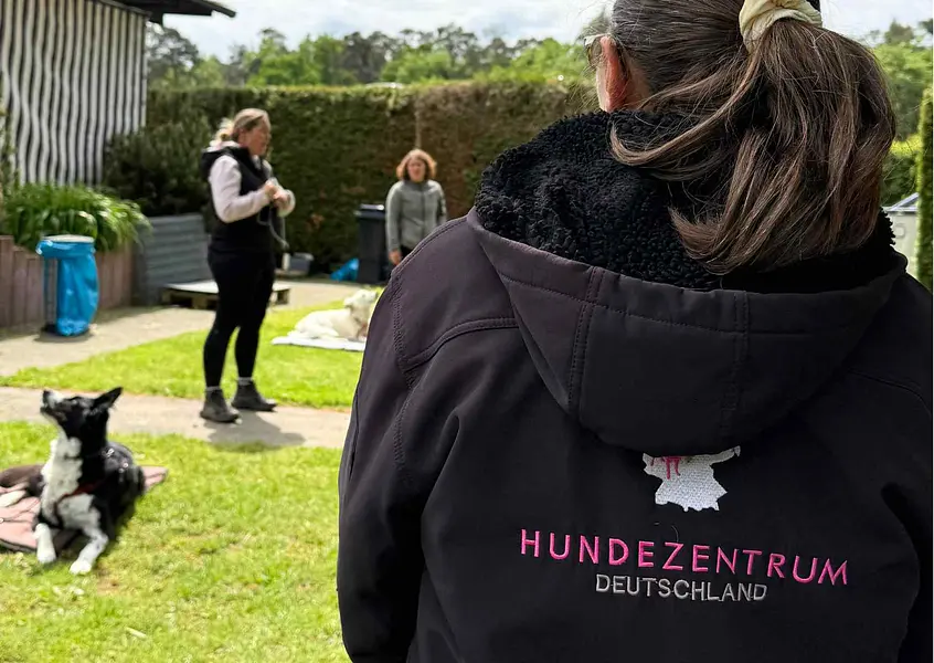 Ausbildung zum/ zur Hundetrainer*in Ausbildung zum/ zur Hundetrainer*in