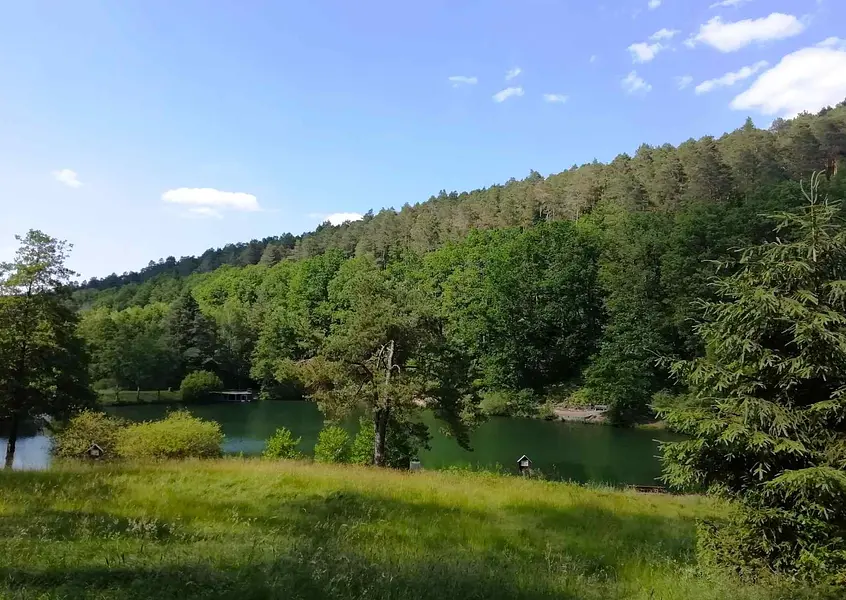 Kopie von format bildungsurlauber (14.8 x 10.5 cm) (29)