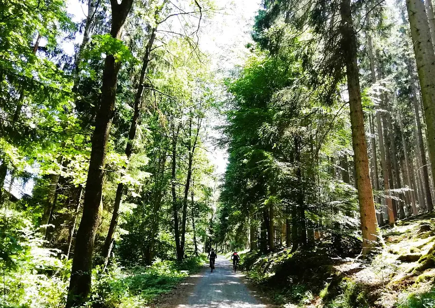 Kopie von format bildungsurlauber (14.8 x 10.5 cm) (28)