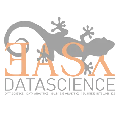 Data Science Boot Camp (Webinare in 2025)