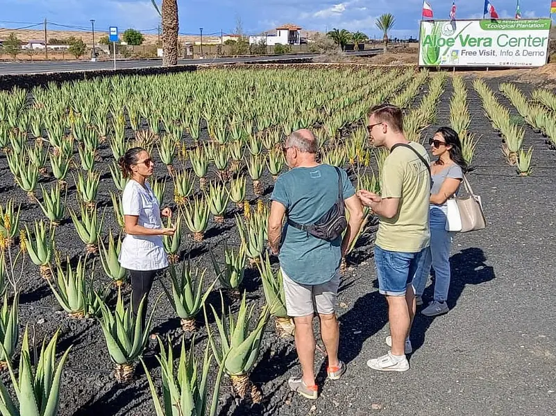 Spanischkurs auf Fuerteventura (5 oder 10 Tage). Niveau B2. Mit optionalen Aktivitäten: Surfen, Skaten, Wing Foil, Kite surf 