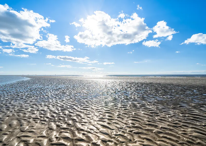 Kopie von format bildungsurlauber (14.8 x 10.5 cm) (3)