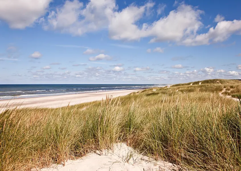 Kopie von format bildungsurlauber (14.8 x 10.5 cm) (2)