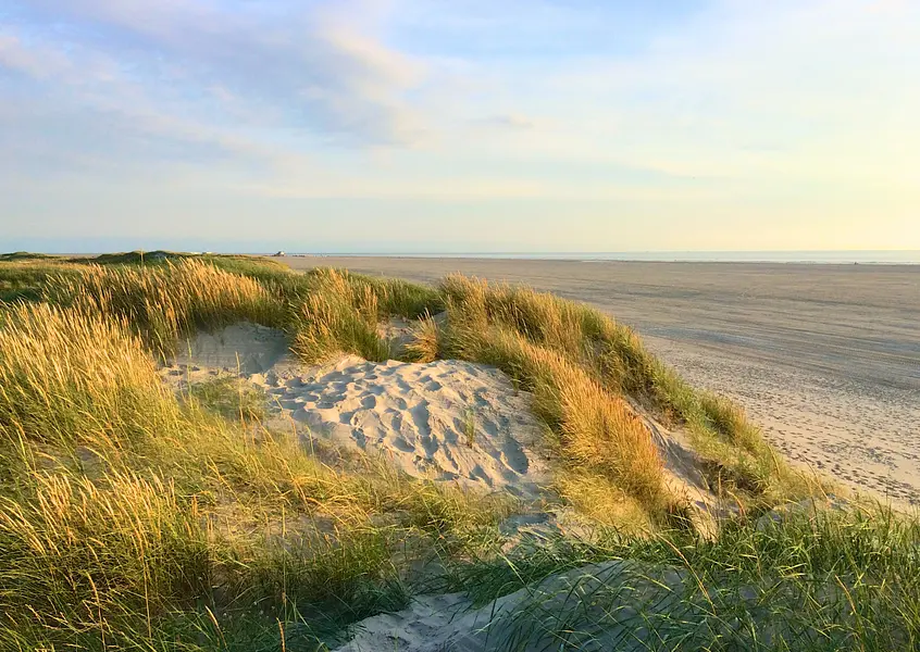 Kopie von format bildungsurlauber (14.8 x 10.5 cm)