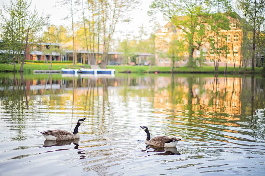 Stressbewältigung durch Achtsamkeit (MBSR) in Beruf und Alltag Stressbewältigung durch Achtsamkeit (MBSR) in Beruf und Alltag