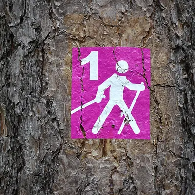 Wer sich bewegt, kommt voran - Mehr Leichtigkeit im Berufsalltag - mit Liebscher & Bracht Wer sich bewegt, kommt voran - Mehr Leichtigkeit im Berufsalltag - mit Liebscher & Bracht