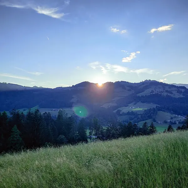 bcb13d42-5912-43b4-b7a0-76712dec024c