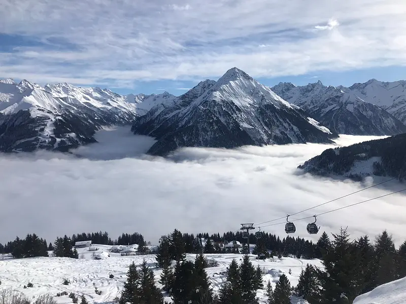 2a1477b3-4c8e-4910-9704-0be2b5eb19ca (1)