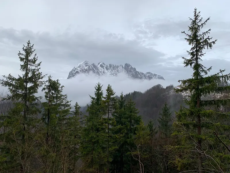 0d3d5ed5-8ab3-4c0f-a18c-896fd7efb5cf