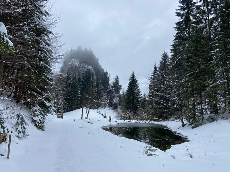 7ba6d7b8-fb71-42d0-8b32-2c7720500322