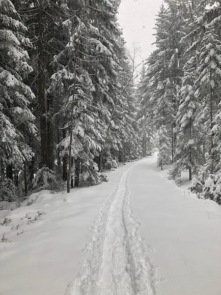 8da17ad1-85b8-4cad-b443-56309cd7c903