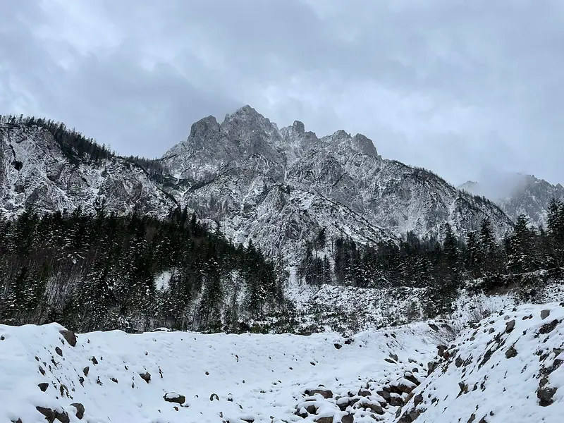 15e93095-afdc-430b-8c64-0379a38796fc