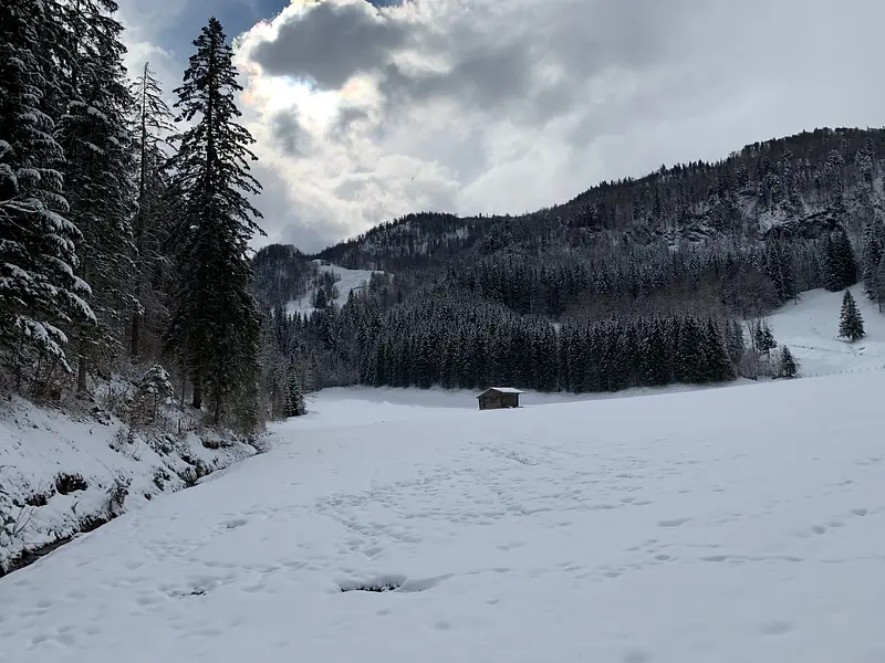 52f3c01a-1900-4a7a-b579-d5126988ebdc